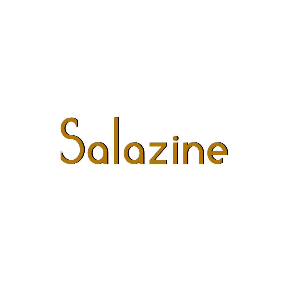Salazine logo design