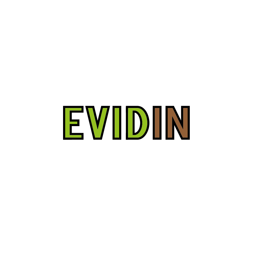 Evidin logo design