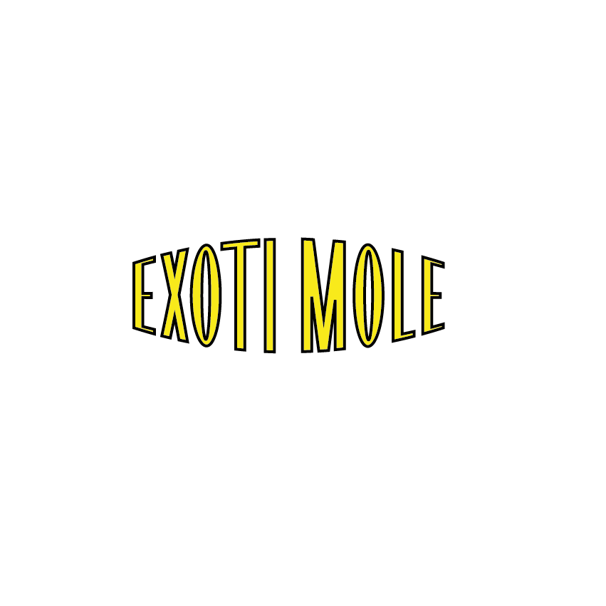 Exoti mole logo design