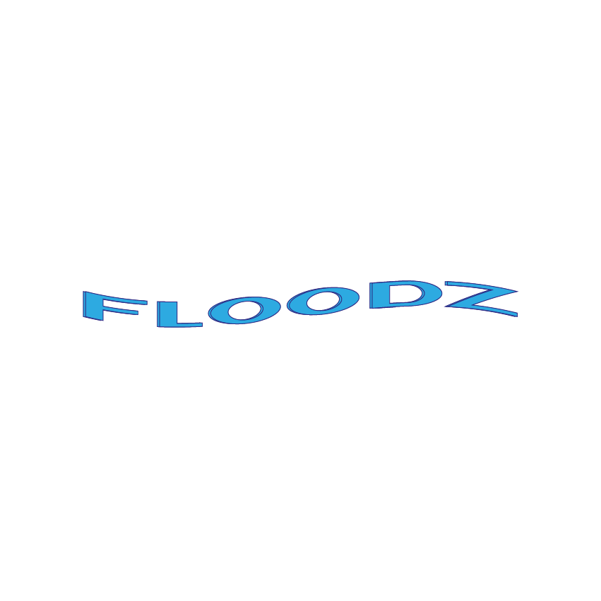 Floodz logo design